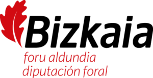 Bizkaia foro aldundia - diputacion foral